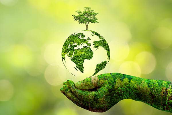  Join Together and Build Environmental Awareness
