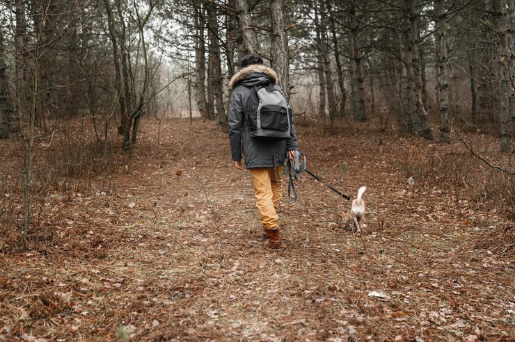 Always keep pets on leashes when hiking or in nature