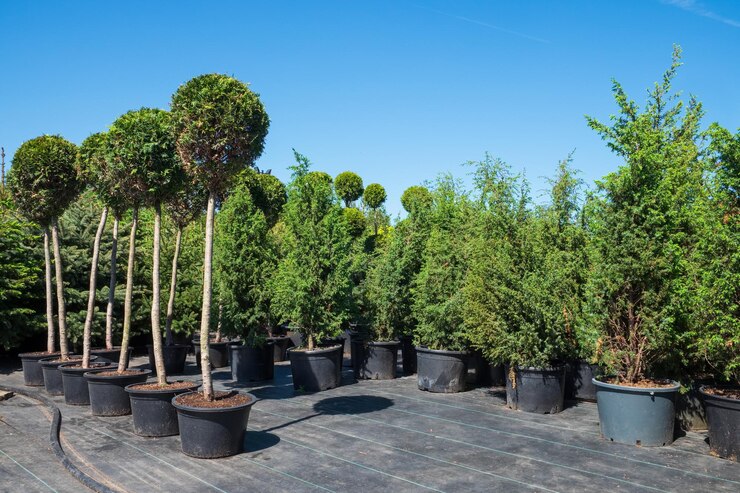  Plant trees and shrubs