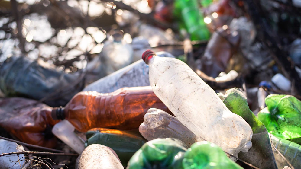 Plastic Waste Reduction